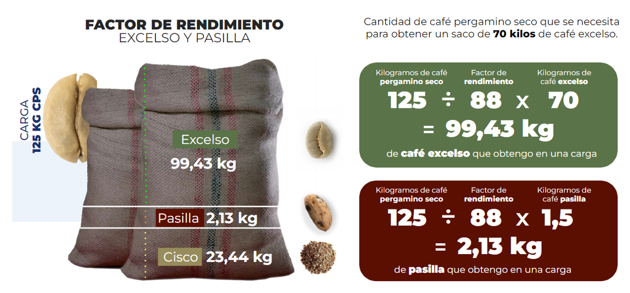 Gráfico explicativo factor de rendimiento café excelso vs pasilla fórmula matemática 99.43kg